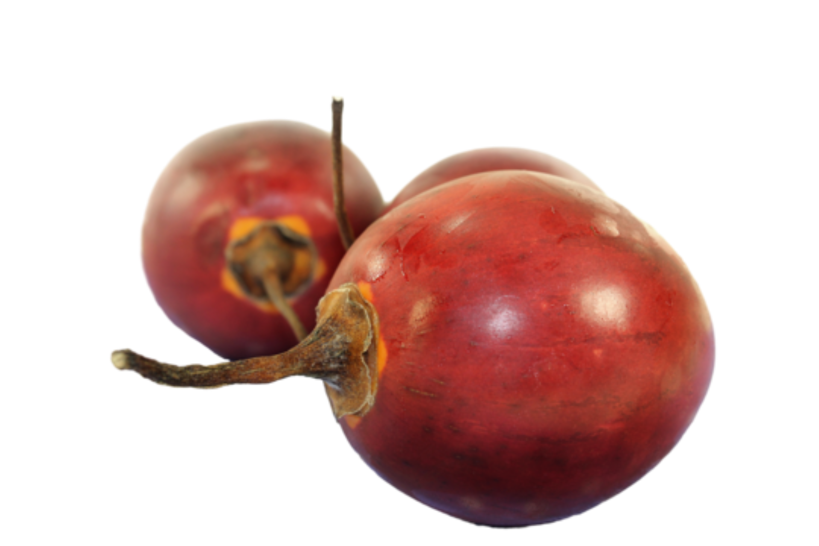 FRESH TREE TOMATO